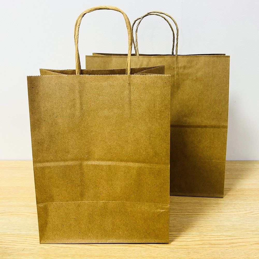 Custom Shopping Paper Bag with Handle